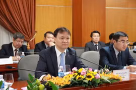 Meeting eyes breakthroughs in Vietnam-Czech cooperation