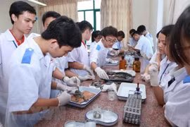 74 percent of high school candidates apply to universities