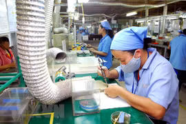 Vietnam, southern African countries share experience in developing MSMEs