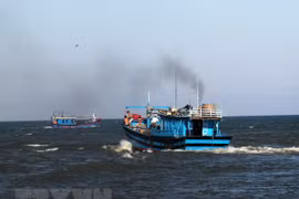 Vietnam joins FAO’s Agreement on Port State Measures