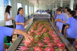Fruit, vegetable exports continue growth trend in two months