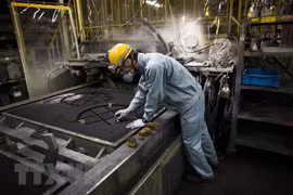 Vietnamese workers see great opportunities in Japan