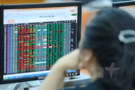 Large-cap stocks fuel indices’ gains