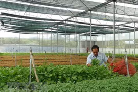 MARD announces ranking of agro-forestry-fisheries safety management 