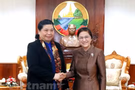 Vietnam, Laos beef up legislative ties 