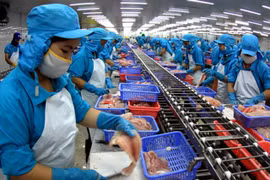 Can Tho: Early industrial restructuring needed for breakthrough growth 