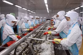 Ca Mau province strives to expand export markets 