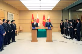 Japan pledges more support for Vietnam’s sustainable development