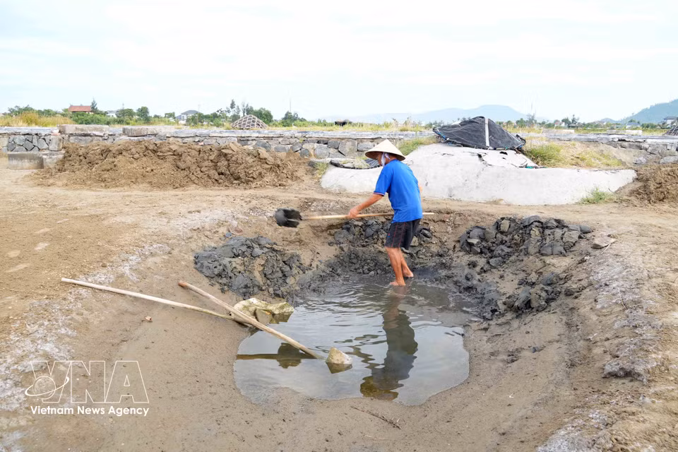 A farmer digs a reservoir to store seawater channelled inland from the coast. (Photo: VNA)