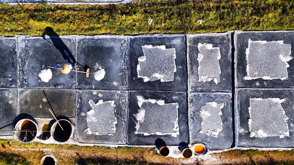 Salt crystals begin to form on the surface of the evaporation pans. (Photo: VNA)