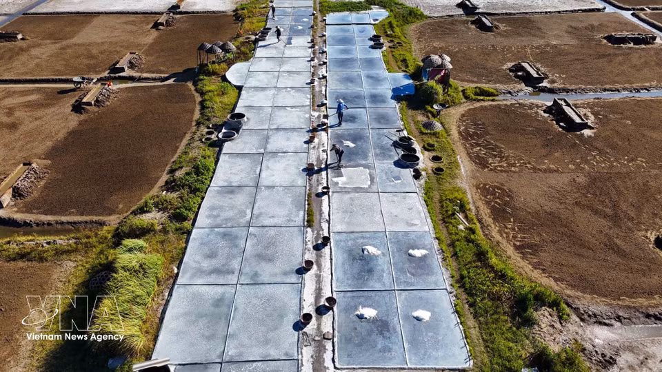 Salt farmers work tirelessly to harvest salt despite the sweltering summer heat. (Photo: VNA)