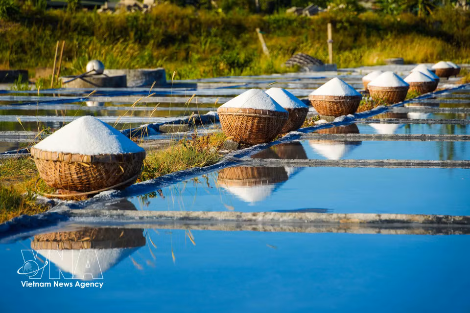 Baskets of freshly harvested salt are lined up in neat rows. (Photo: VNA)