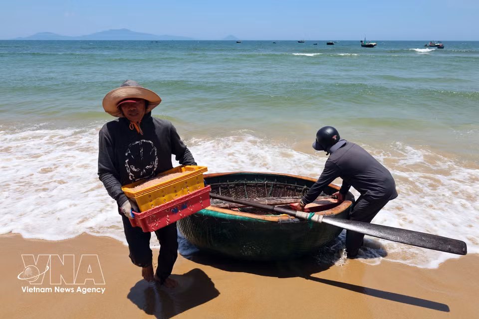 Livelihoods of fishermen in the coastal area of Duy Nghia commune, Da Nang city. (Photo: VNA)