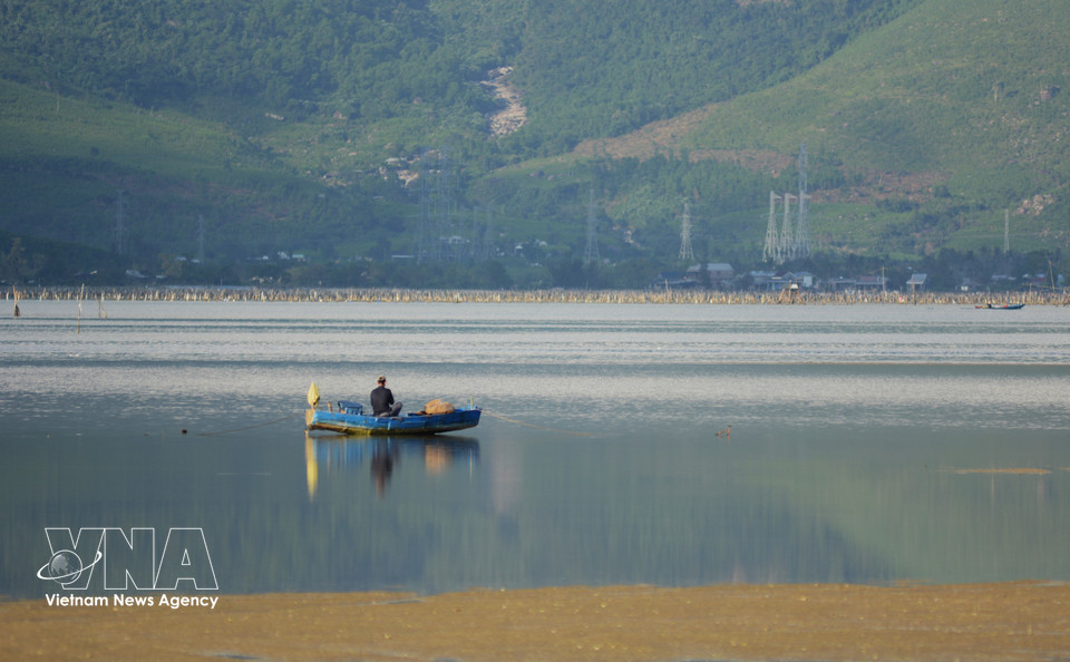 Life on Lap An Lagoon forms a vivid picture of harmony between people and nature. (Photo: VNA)