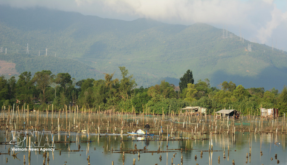 Local residents farm oysters on Lap An Lagoon. (Photo: VNA)