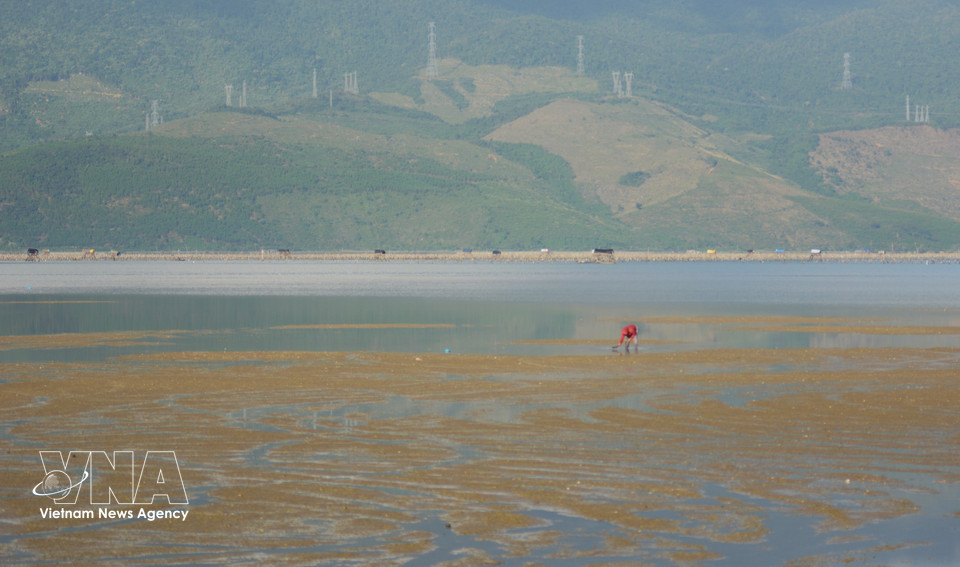 Daily life on Lap An Lagoon reflects the harmonious relationship between people and nature. (Photo: VNA)