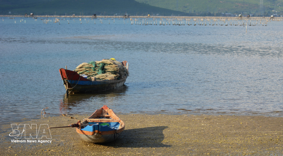 A gentle, poetic landscape unfolds across the vast expanse of Lap An Lagoon. (Photo: VNA)