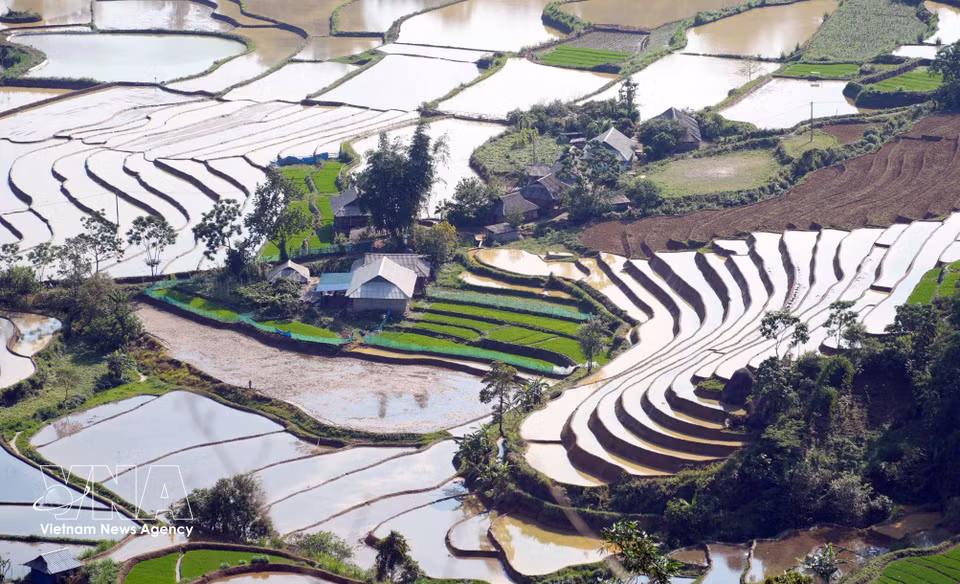 Water flowing from mountain streams into the terraces sparkles like silver in the late afternoon sunlight. (Photo: VNA)