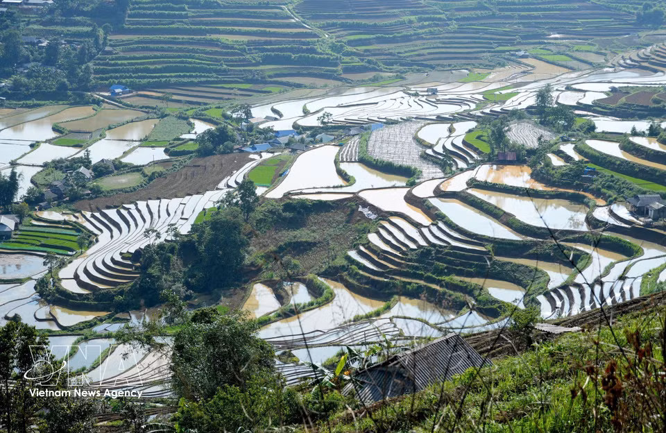 Terraced rice fields curve gracefully around the mountainsides, creating a stunning landscape reminiscent of an ink painting amid the vast highlands. (Photo: VNA)