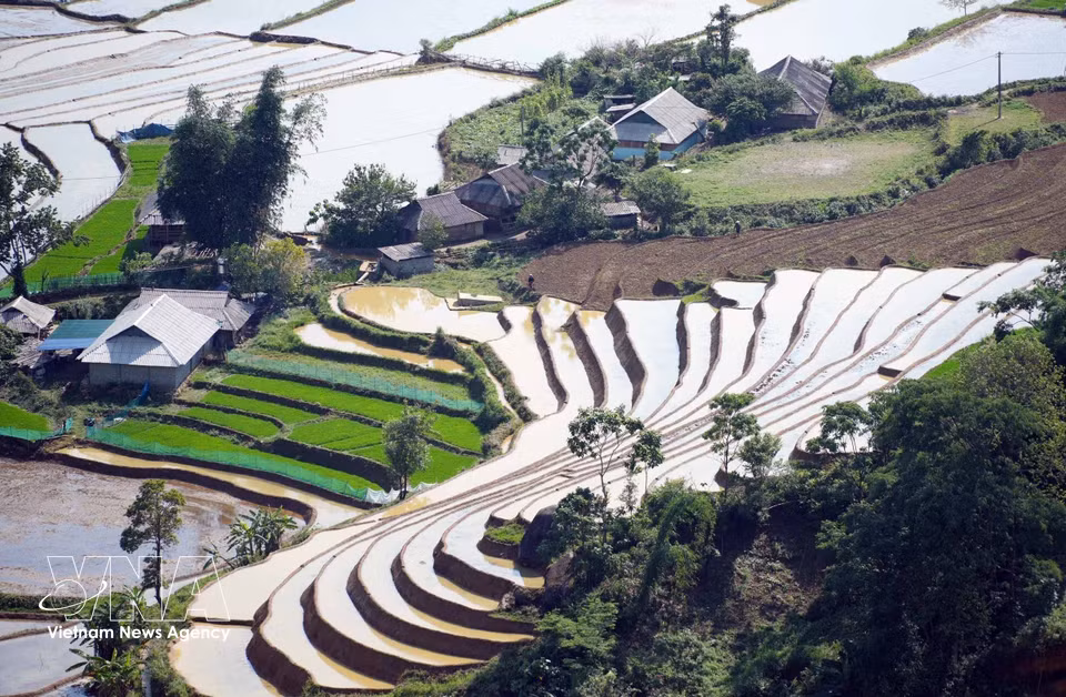 Heavy rains bring abundant water to the terraces, turning them into mirror-like surfaces reflecting the majestic sky above. (Photo: VNA)
