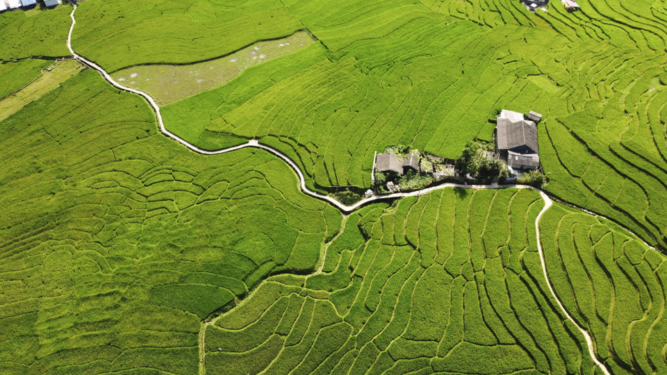 Peaceful villages amid Ta Van’s green rice season. (Photo: VNA)