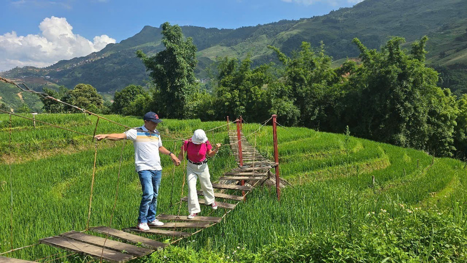 Ta Van’s green rice season attracts large numbers of visitors. (Photo: VNA)