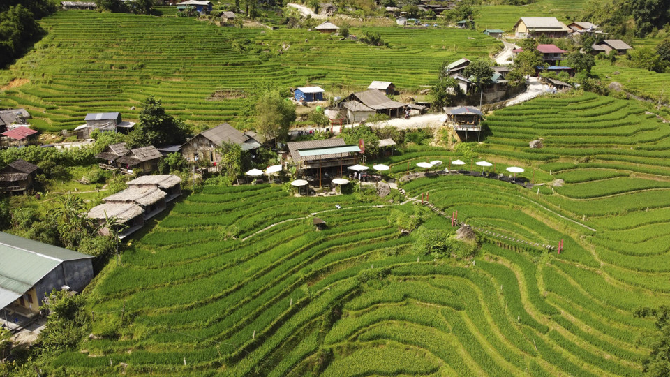 Peaceful villages amid Ta Van’s green rice season. (Photo: VNA)
