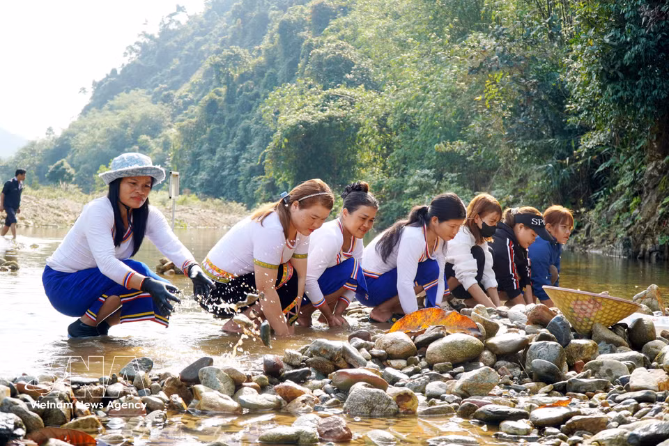 People work together to complete the temporary dam before catching fish. (Photo: VNA)