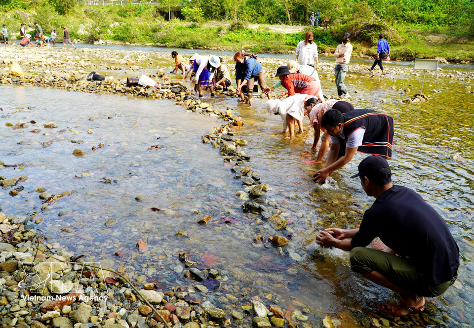 Villagers gather along the Truong River, carrying stones to build a dam across the stream for fishing. (Photo: VNA)