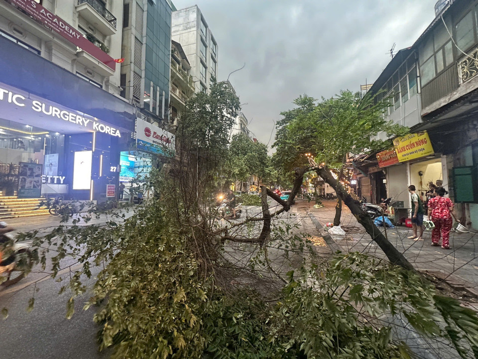 Strong gusts cause trees to fall across various roads in the capital. (Photo: VNA)