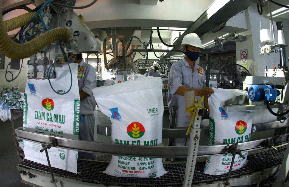 Vietnam’s exports to Angola mainly include rice, textiles, and fertilisers. In photo: Packaging fertiliser products at Ca Mau Fertiliser Plant. (Photo: VNA)