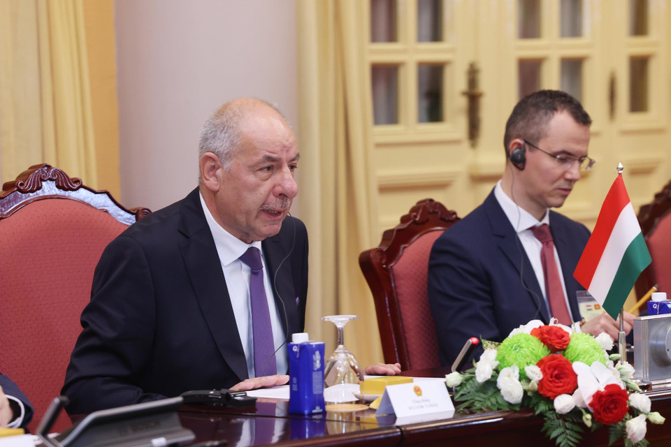 Hungarian President Sulyok Tamas speaks during the talks. (Photo: VNA)
