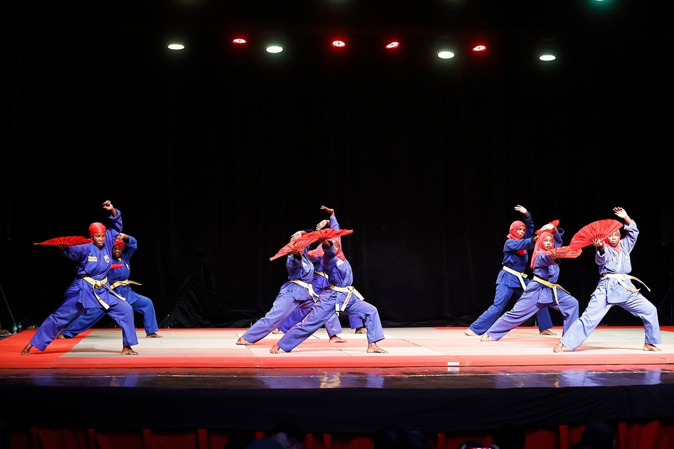 Performance by martial artists of the Senegal Vovinam Federation. (Photo: VNA)