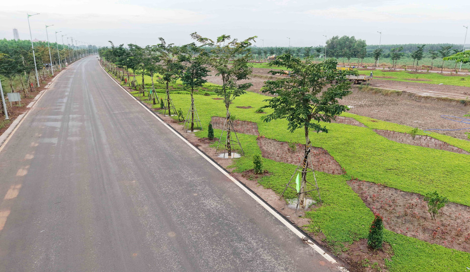 Greenery covers the transport route connecting Long Thanh Airport. (Photo: VNA)