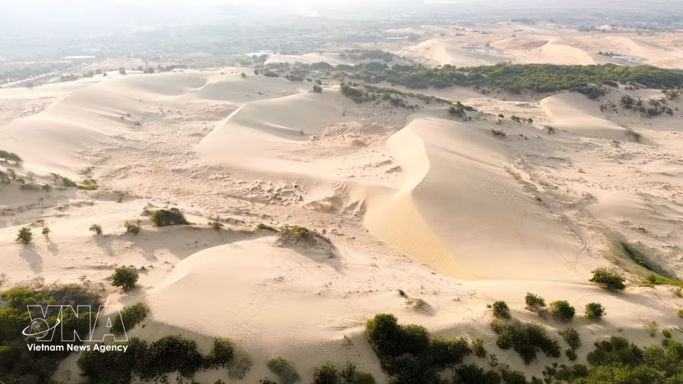 Sweeping coastal sand ridges in the Mui Dinh area form a striking and untouched natural landscape. (Photo: VNA)