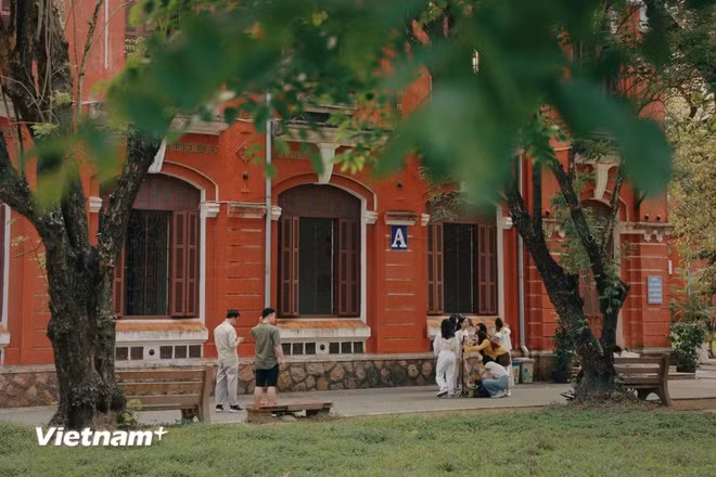 In early April, when the weather remains mild and pleasant, the school becomes an appealing destination for young visitors and tourists. (Photo: Vietnam+)