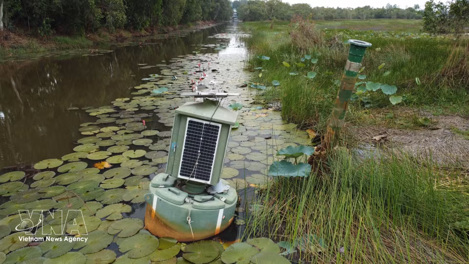 A solar-powered hydrological monitoring device tracks water levels in the forest. (Photo: VNA)