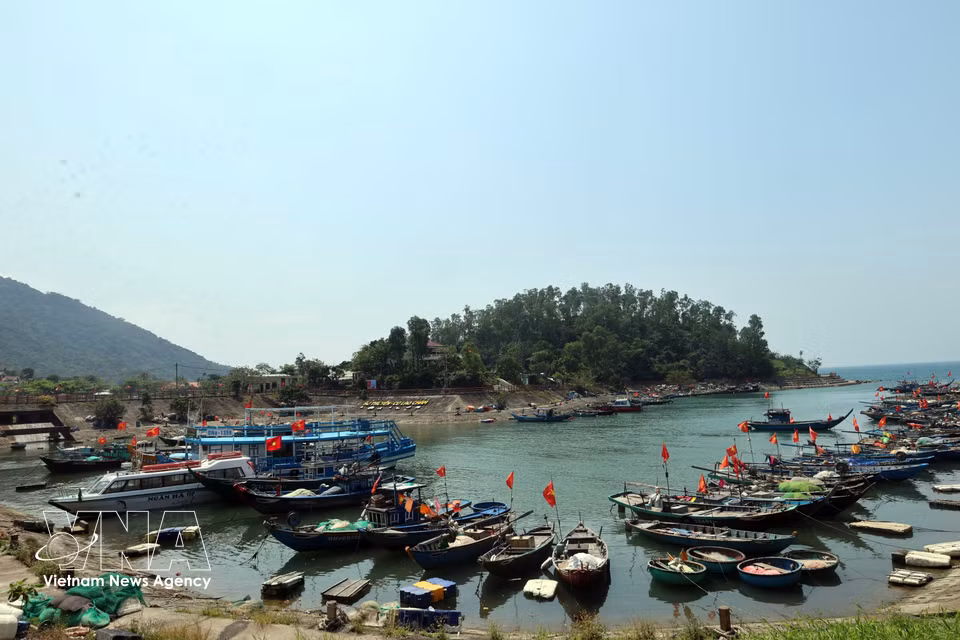 Boats anchor at the Cu Lao Cham Island harbour shelter. (Photo: VNA)