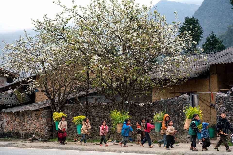 The charm of local people and landscapes creates lasting appeal for visitors. (Photo: VNA)