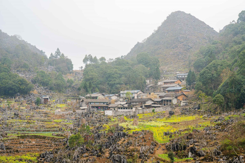 Scenic views of Dong Van Karst Plateau. (Photo: VNA)
