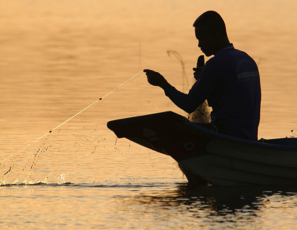 Reeling nets in to catch fish on a flooded field in Vinh Vien commune, Can Tho city. (Photo: VNA)