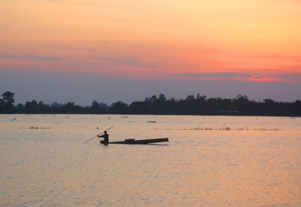 Flooded fields in Can Tho city. (Photo: VNA)