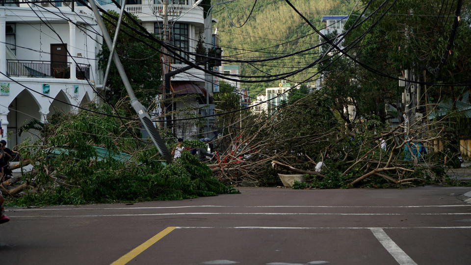 After the typhoon passed, scenes of devastation were seen on many streets in Quy Nhon ward (Gia Lai), where numerous trees, light poles, corrugated roofs, and signboards were blown down. (Photo: VNA)