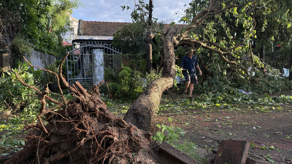 Fallen trees leaning against residential houses in Dak Lak. (Photo: VNA)