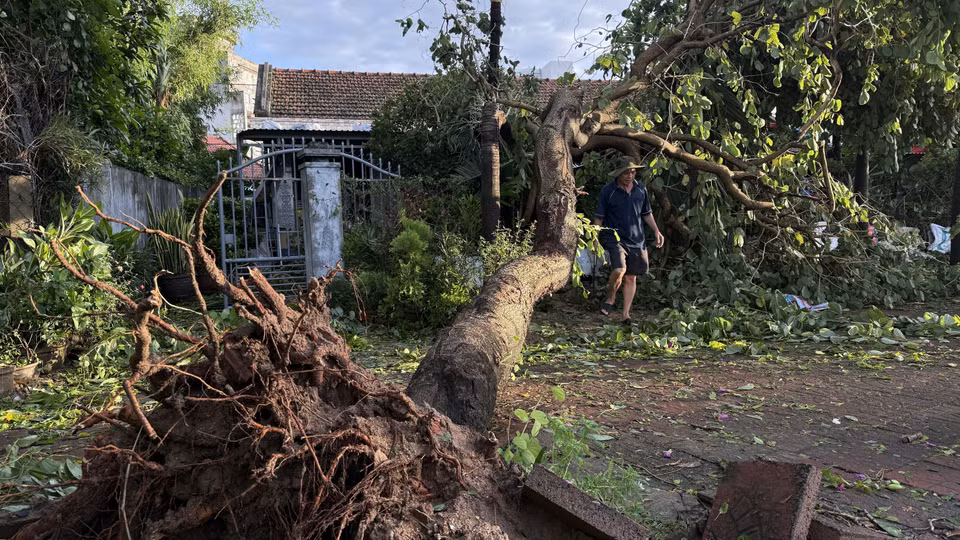 Fallen trees leaning against residential houses in Dak Lak. (Photo: VNA)