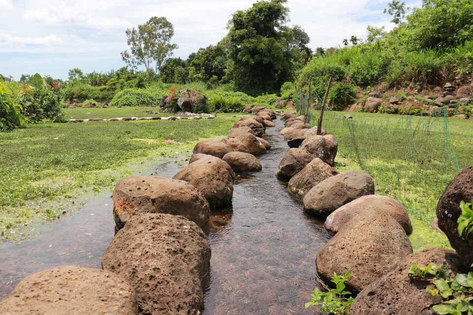 Thanks to the fresh underground water from the ancient wells, locals cultivate the renowned, clean watercress variety. (Photo: VNA)