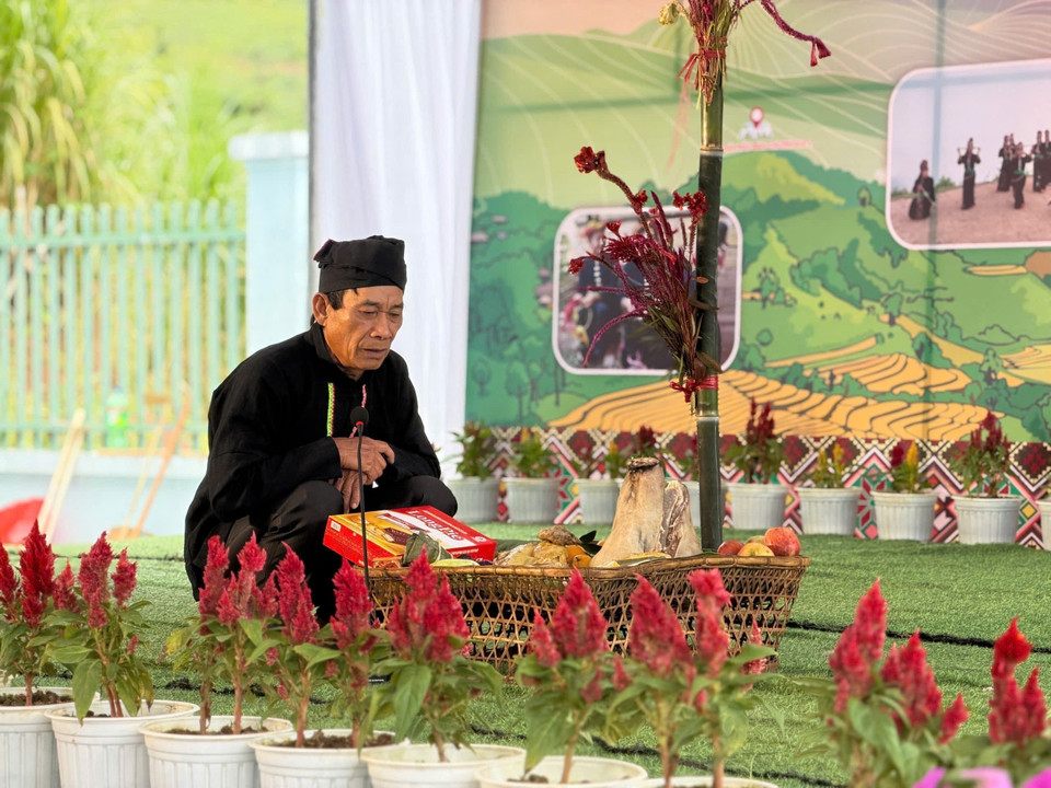 Cockscomb flowers are a symbol of the traditional New Year of the Cong ethnic people. (Photo: VNA)