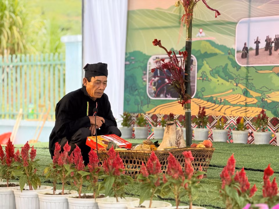 Cockscomb flowers are a symbol of the traditional New Year of the Cong ethnic people. (Photo: VNA)