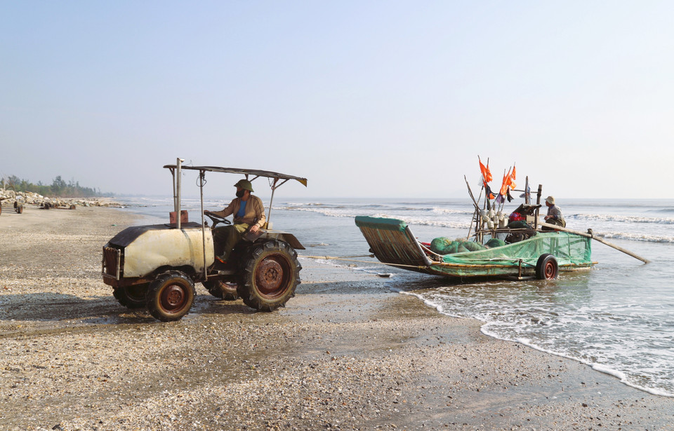 A tractor pulls a crab-fishing raft ashore after it returns from sea. (Photo: VNA)