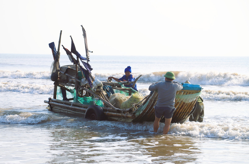 As the rafts reach shore, fishermen reposition them onto a roller system before using a tractor to pull them ashore. (Photo: VNA)